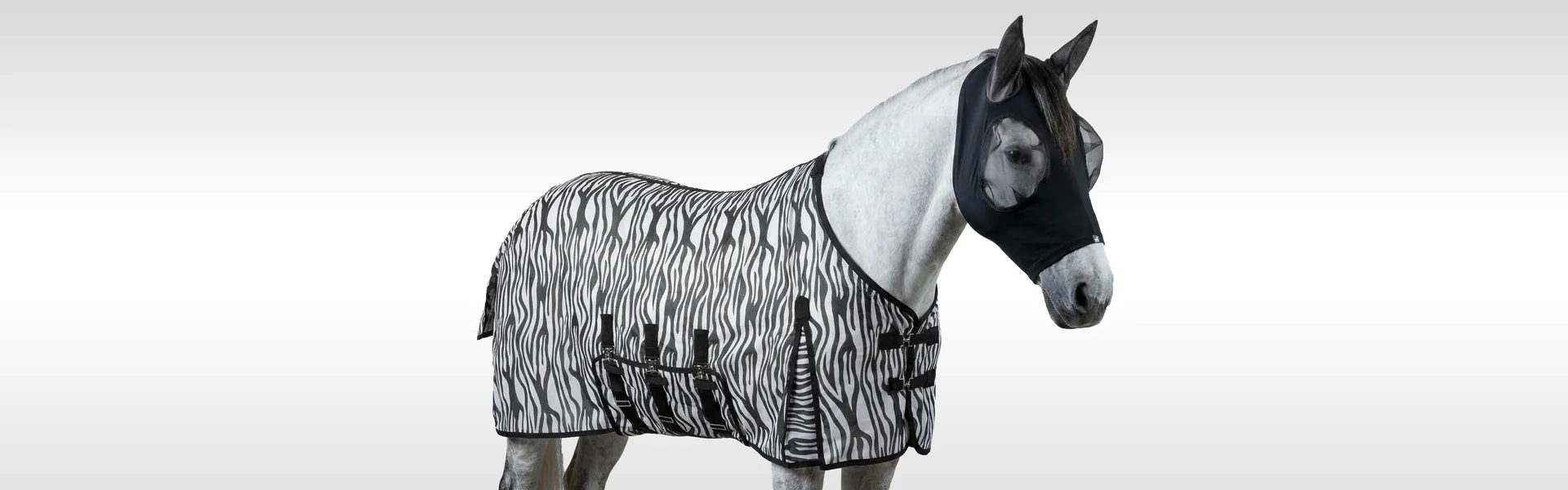 Tu pasión ecuestre sin límites